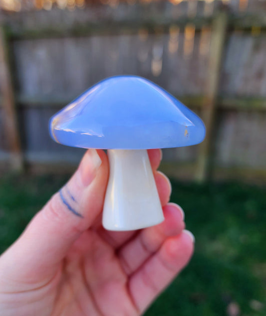 Blue Chalcedony Mushroom