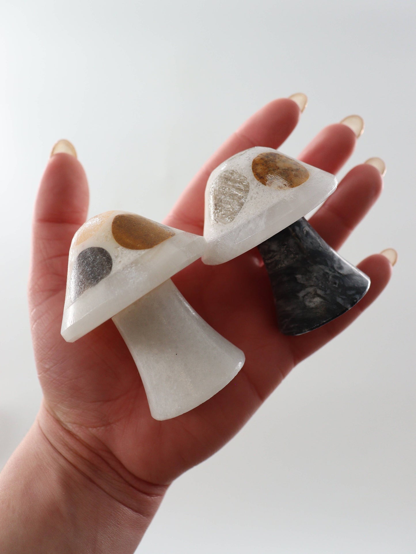 Mixed Onyx Mushrooms