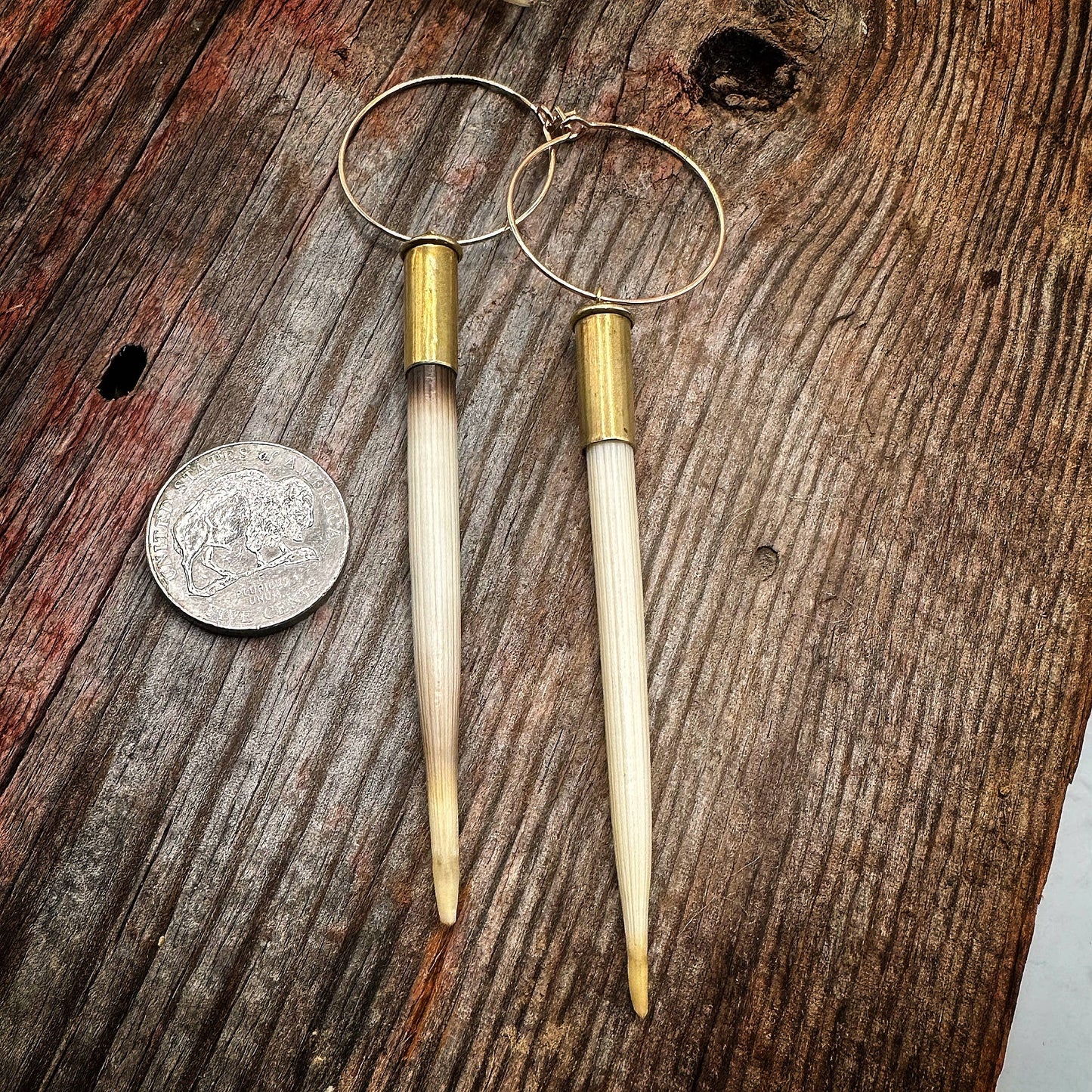 Porcupine Quill & Brass Casing Earrings