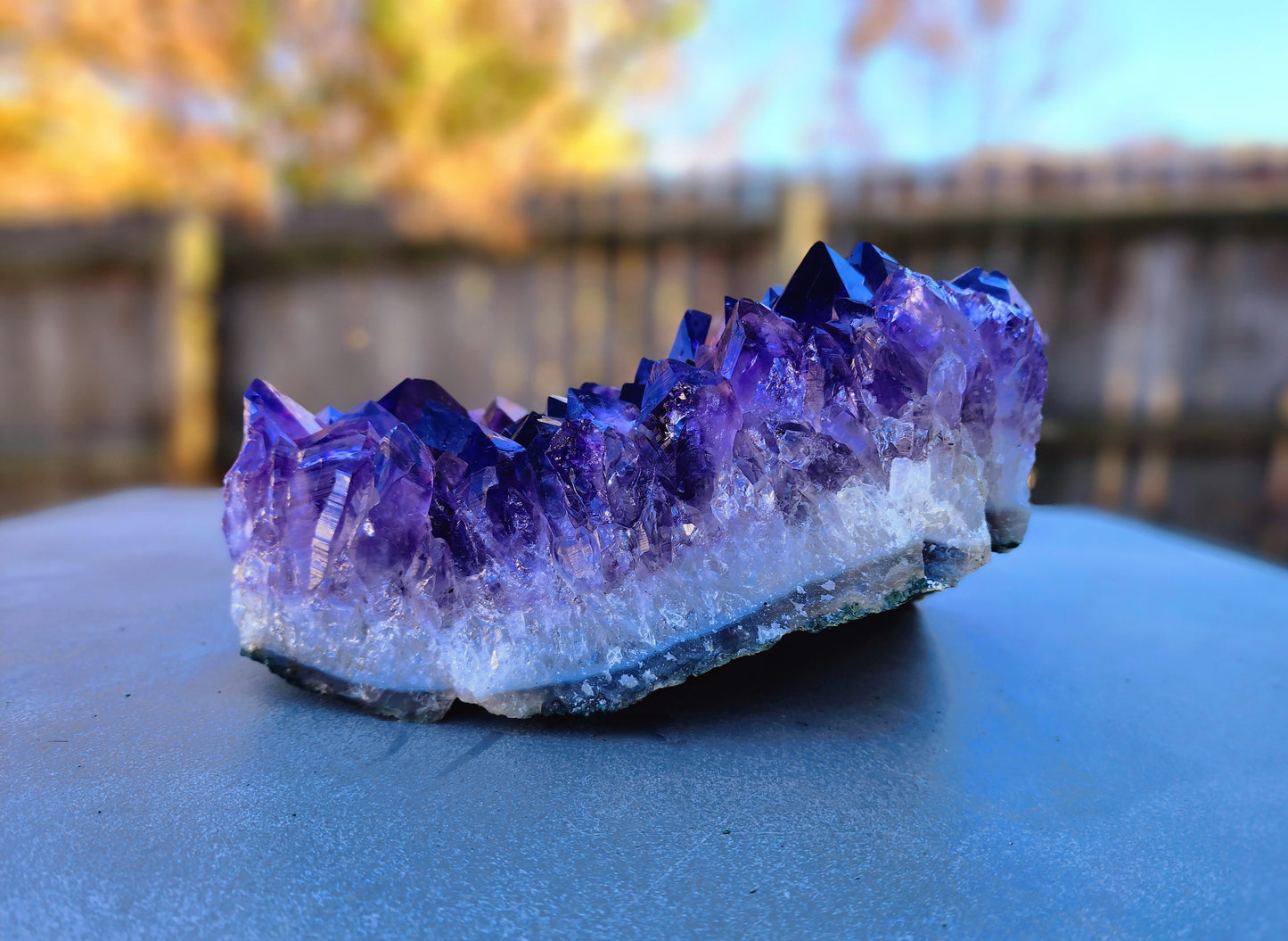 HUGE Amethyst Geode