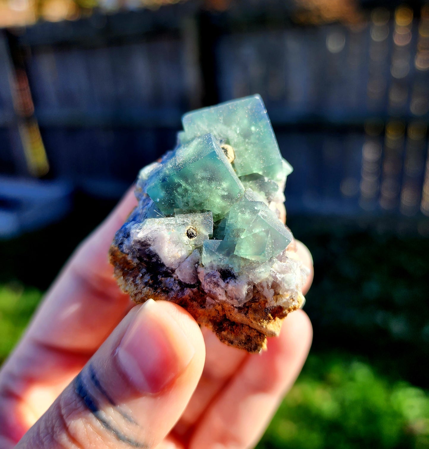 Lady Annabella Fluorite *RARE*