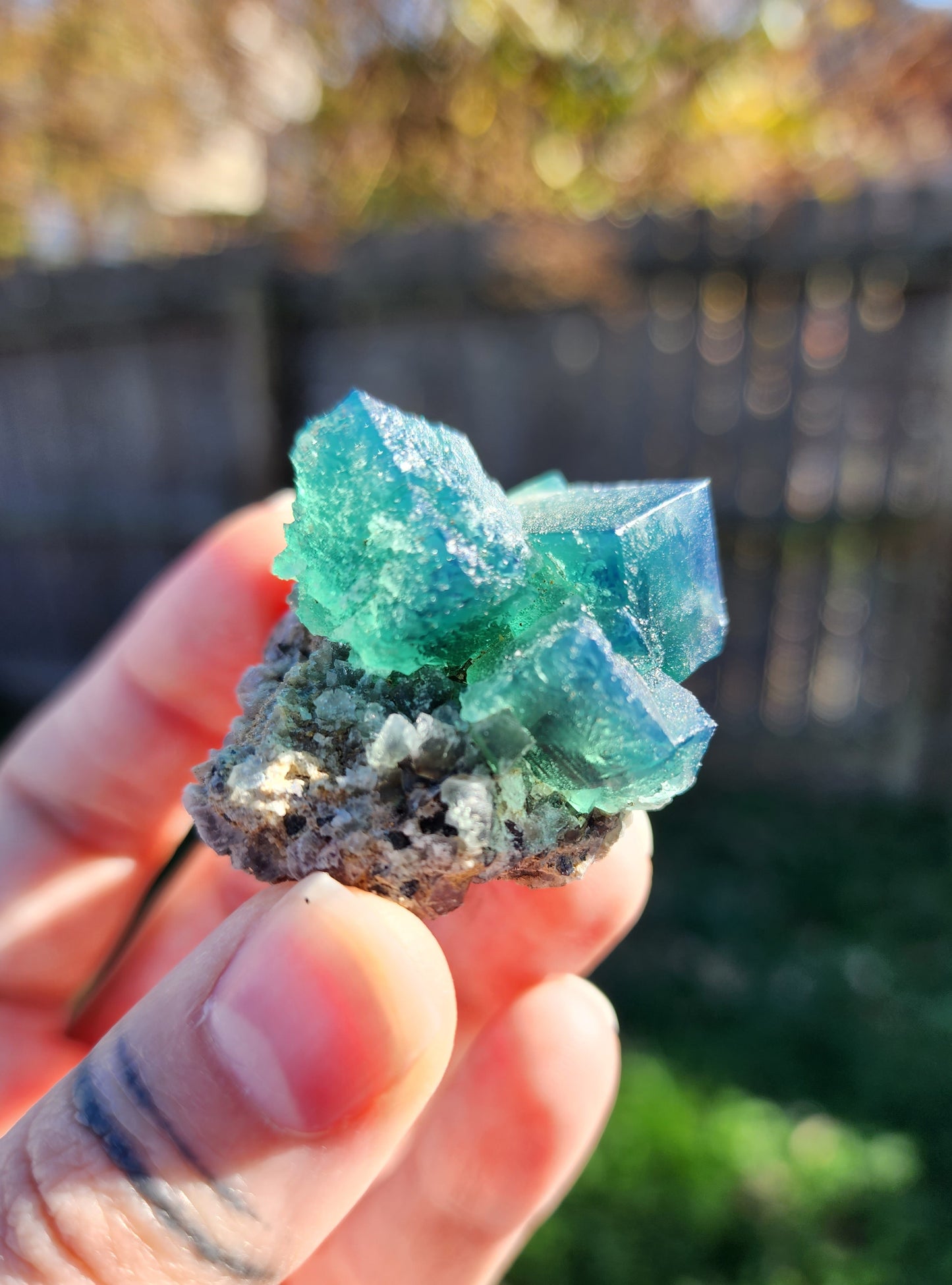 Lady Annabella Fluorite *RARE*