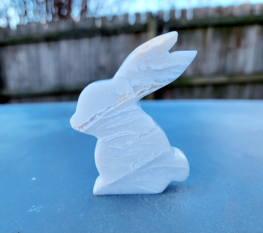 Agate Rabbit