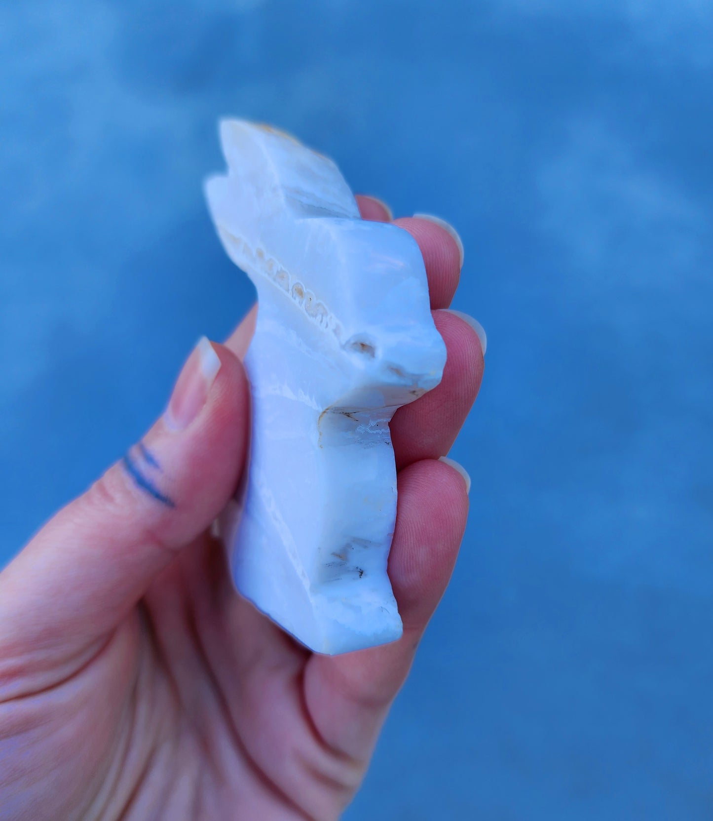 Agate Rabbit