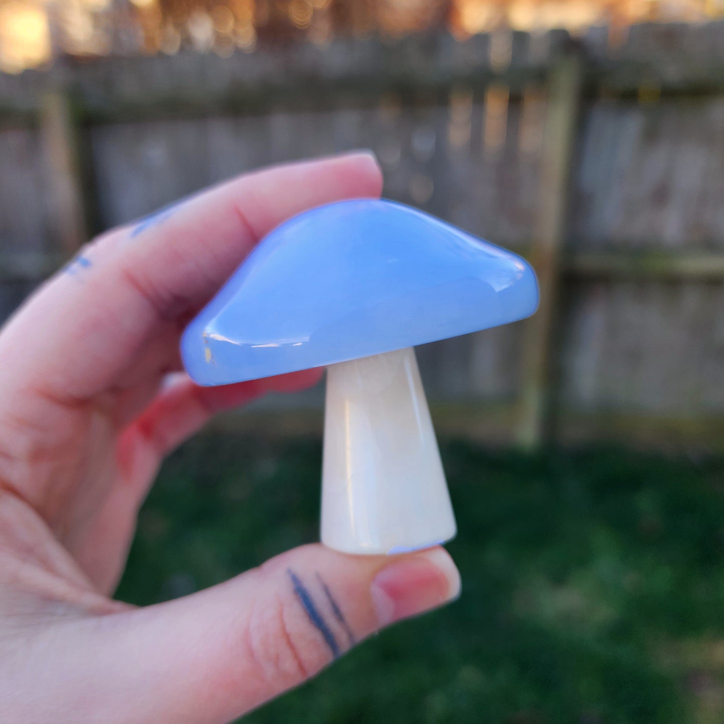 Blue Chalcedony Mushroom