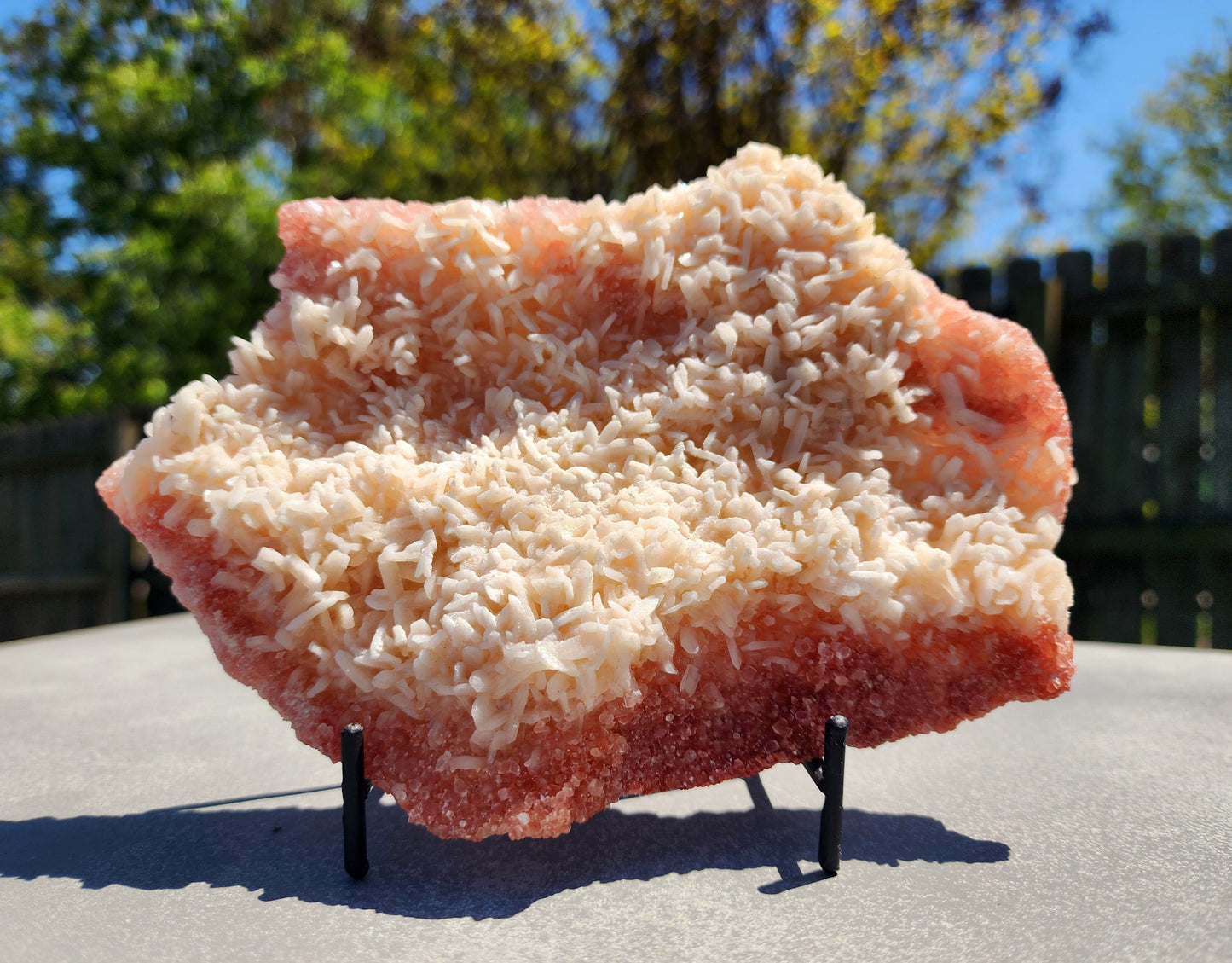 Pink and Red Apophyllite