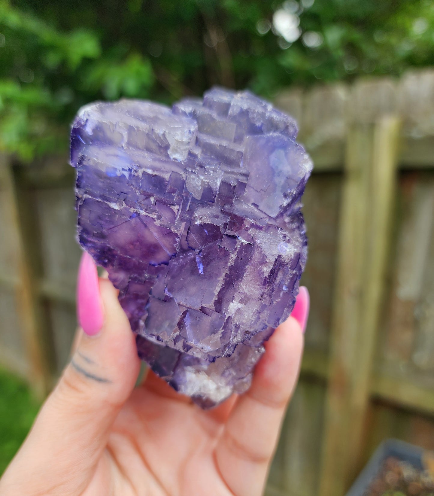 Purple Fluorite