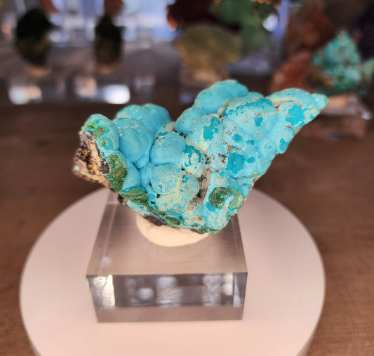 Chrysocolla x Malachite