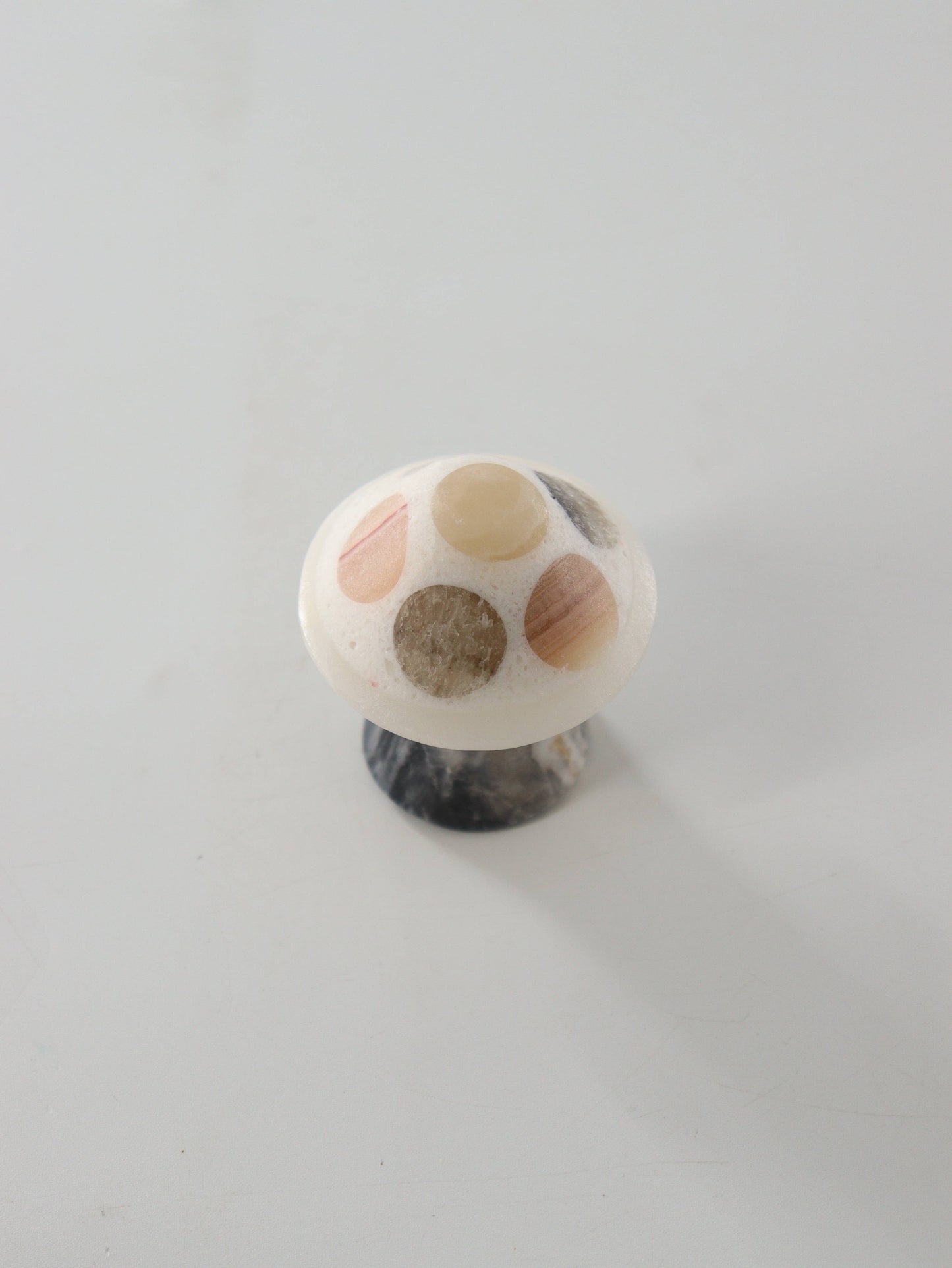 Mixed Onyx Mushrooms