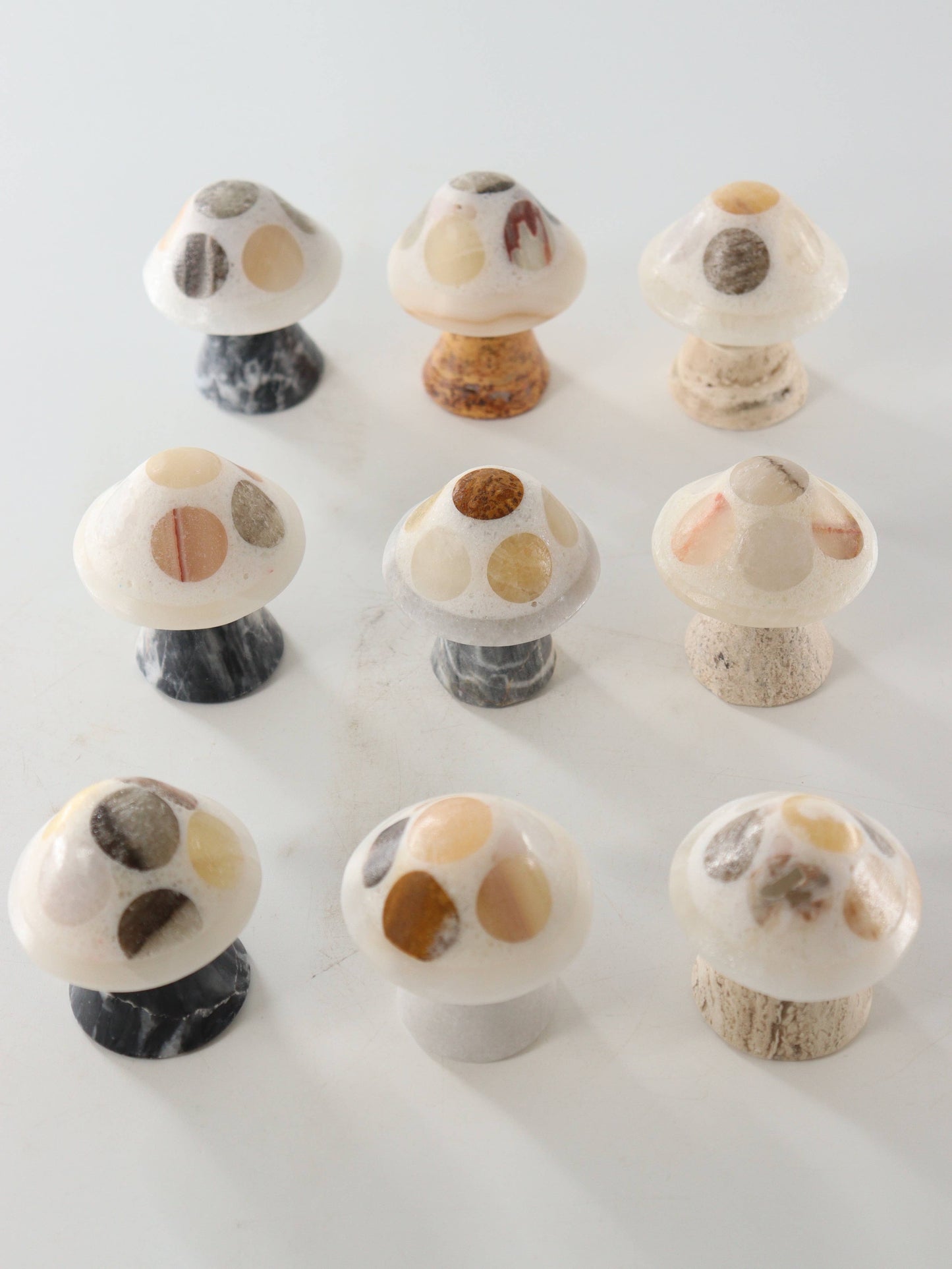 Mixed Onyx Mushrooms