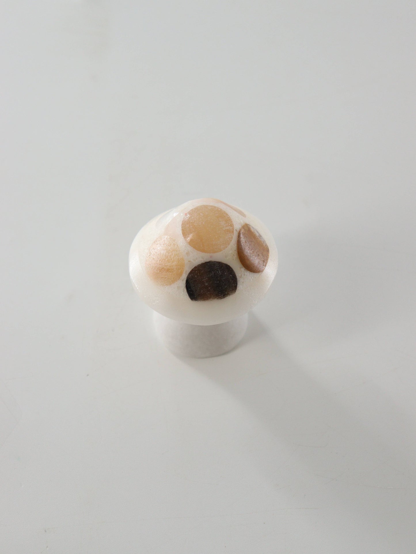 Mixed Onyx Mushrooms