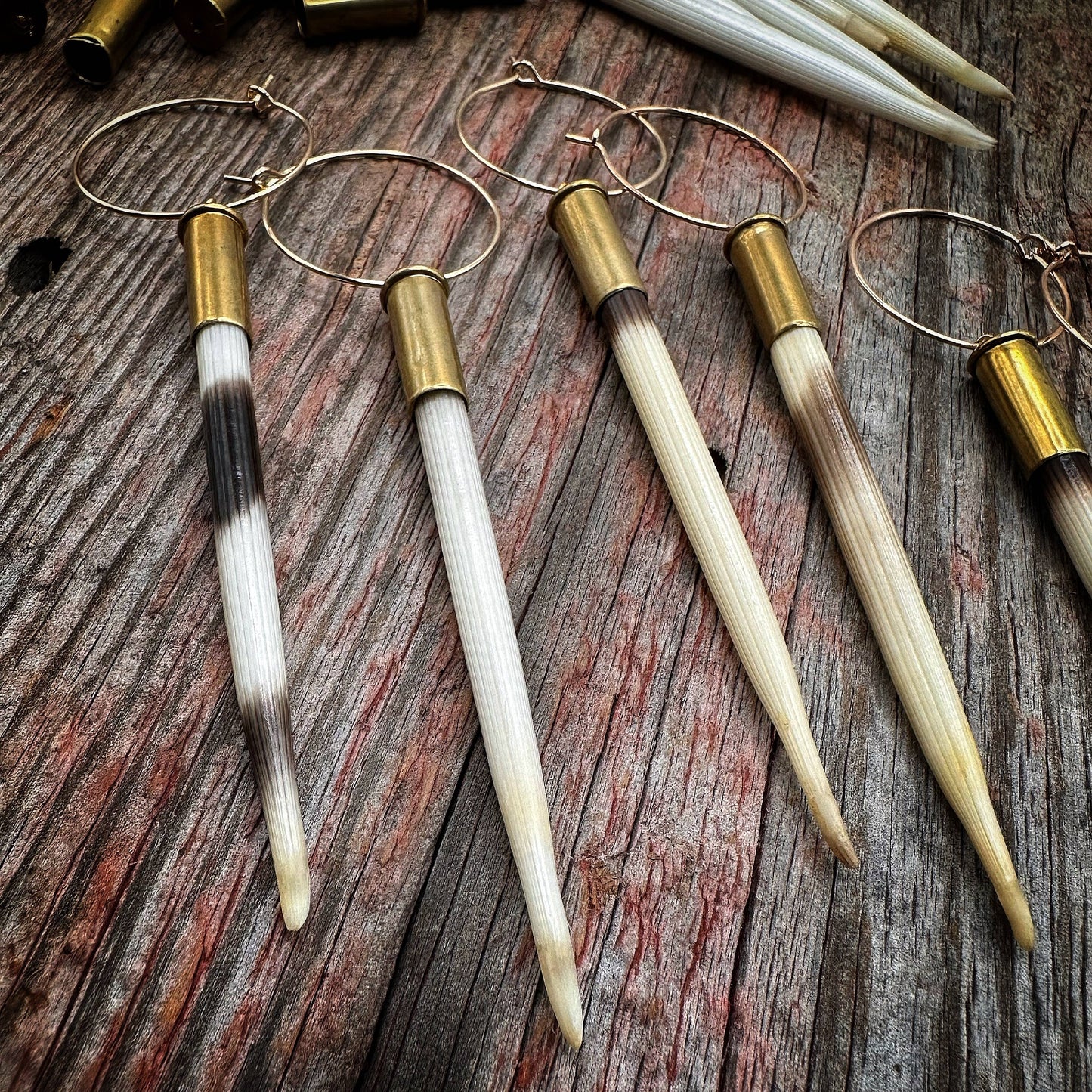 Porcupine Quill & Brass Casing Earrings