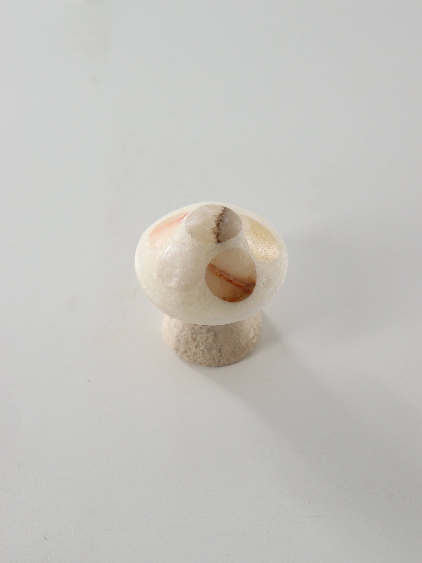 Mixed Onyx Mushrooms