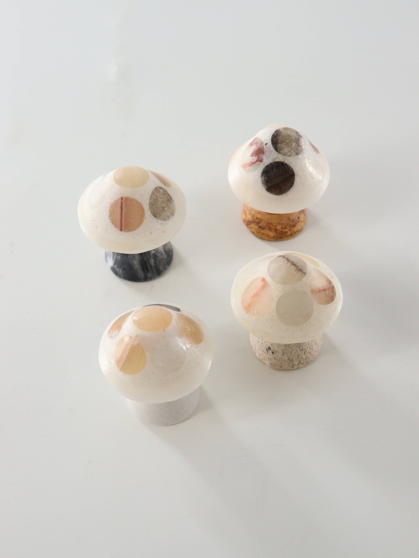Mixed Onyx Mushrooms