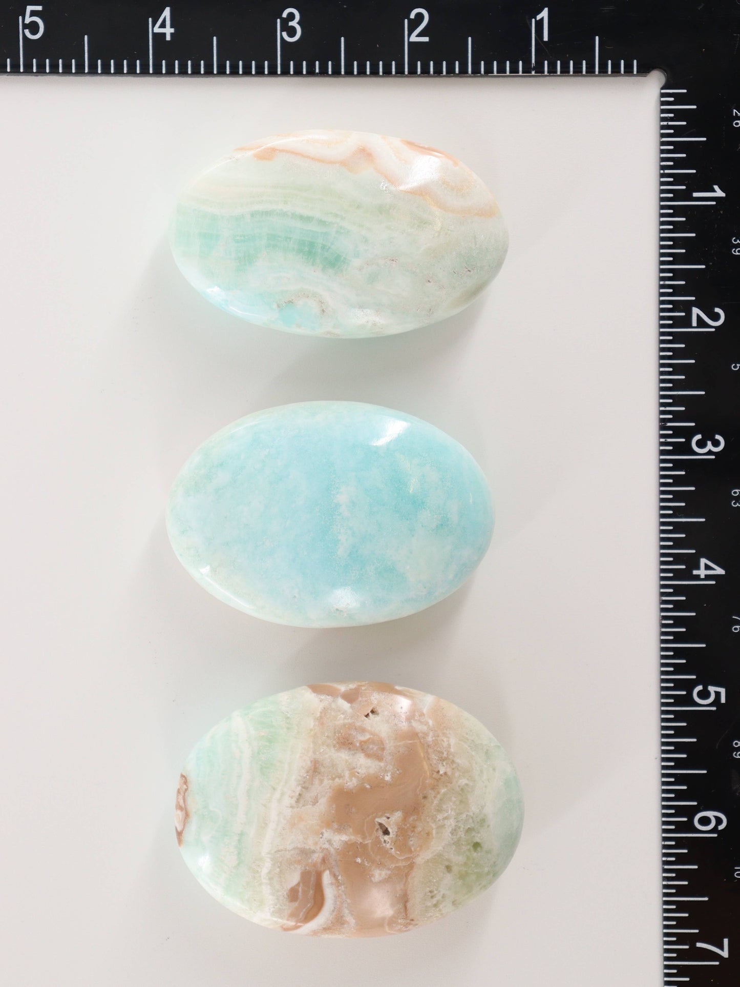 Caribbean Calcite Palm Stones