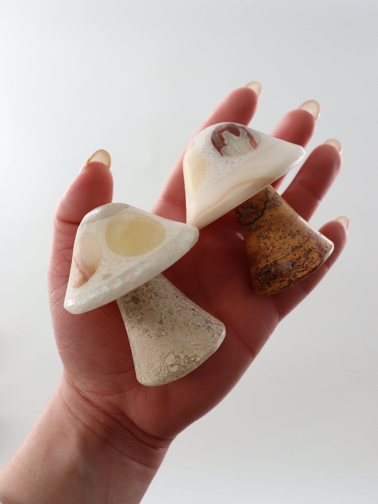 Mixed Onyx Mushrooms