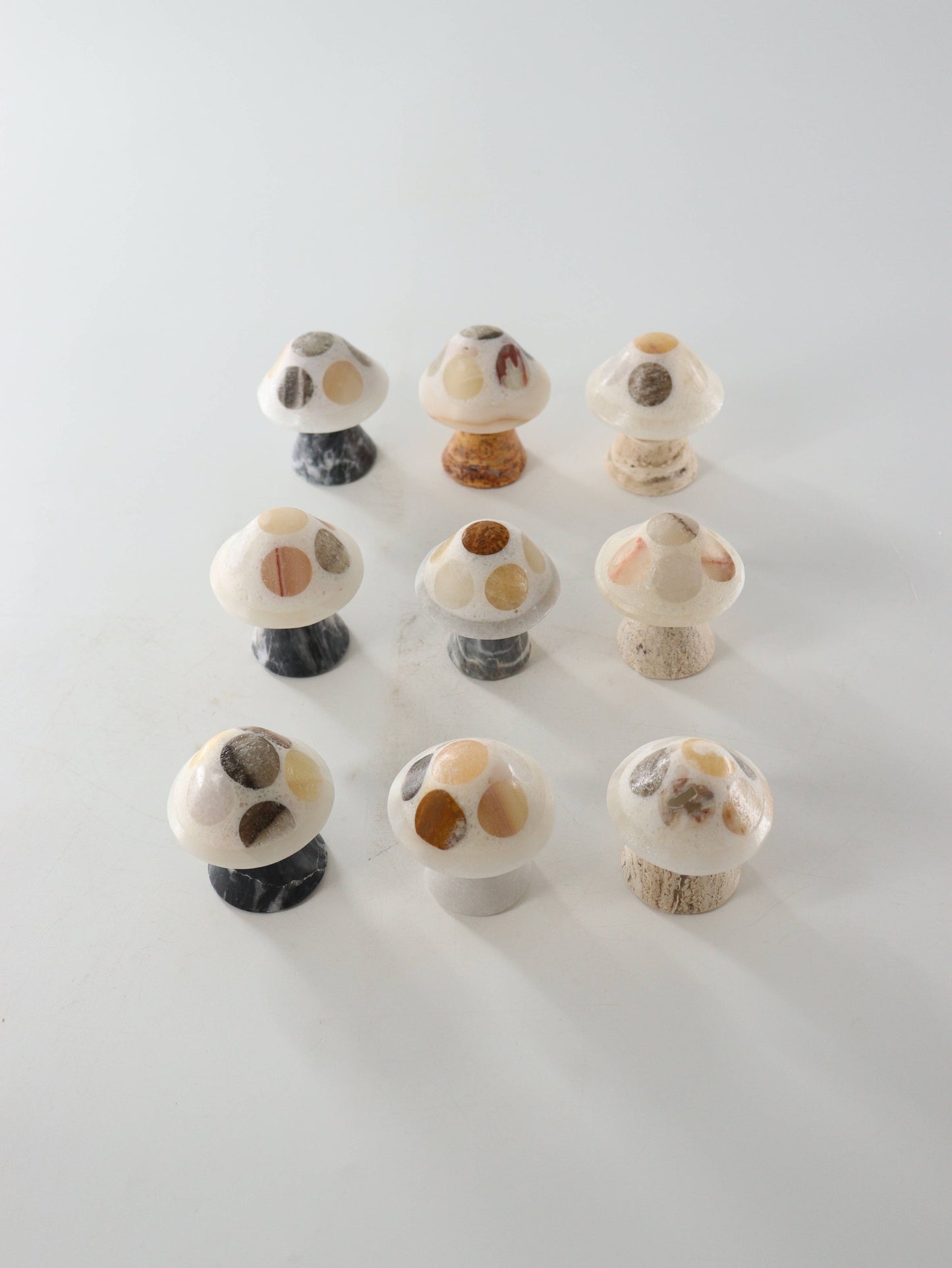 Mixed Onyx Mushrooms