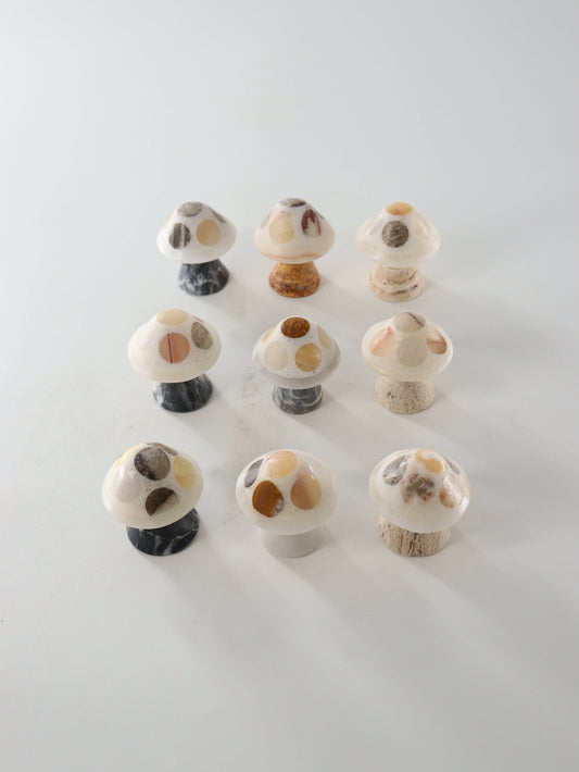 Mixed Onyx Mushrooms