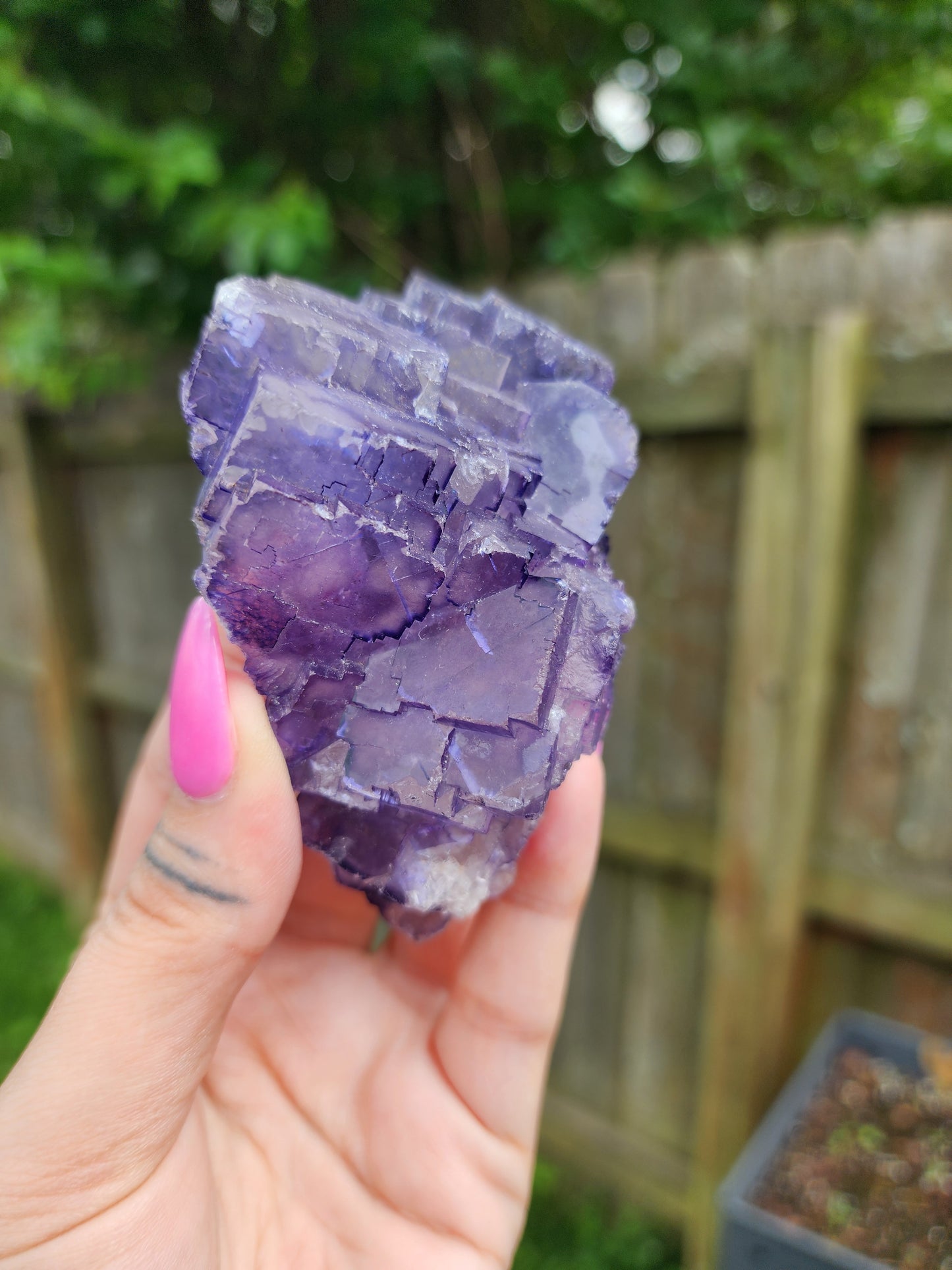 Purple Fluorite