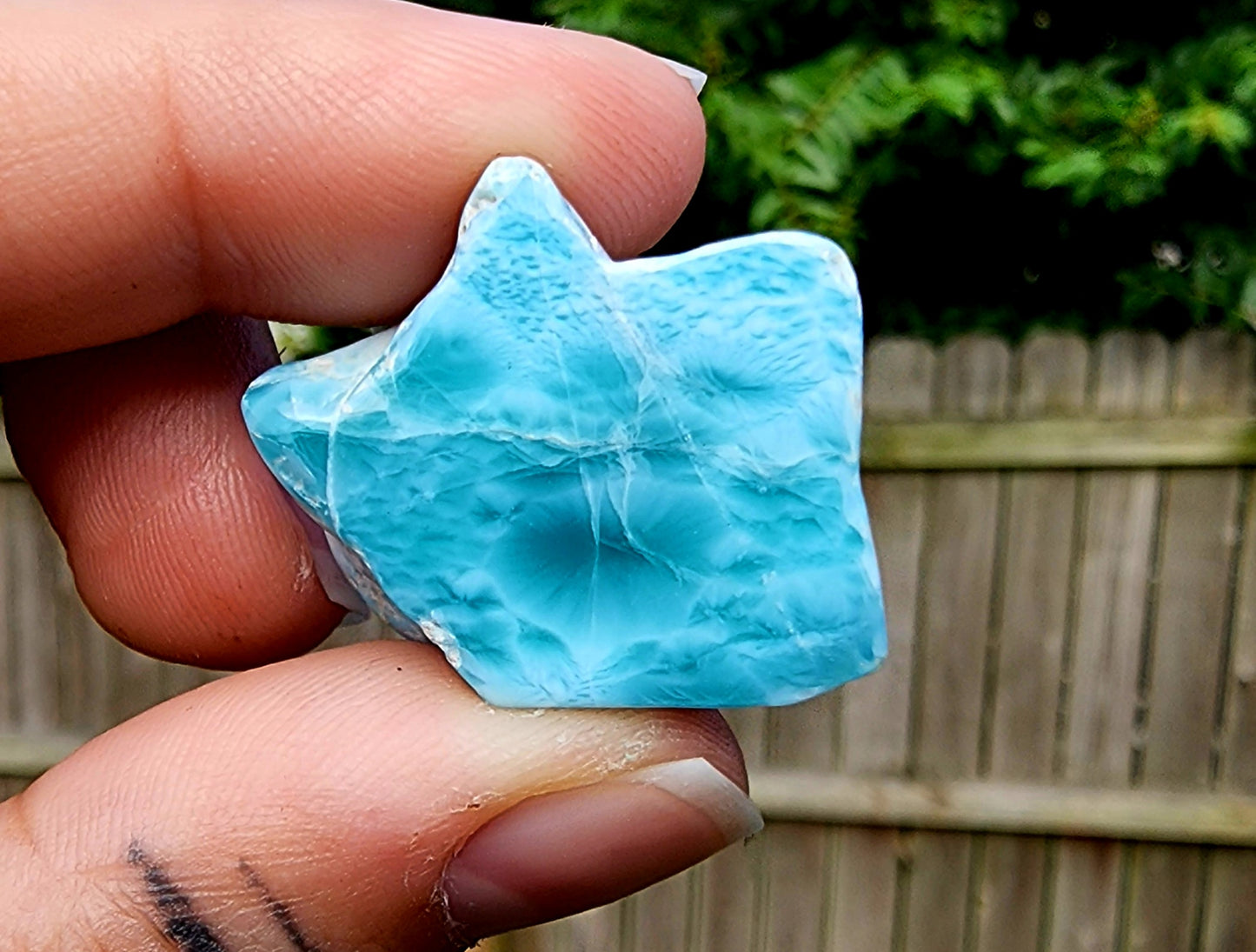 AAA Grade Larimar