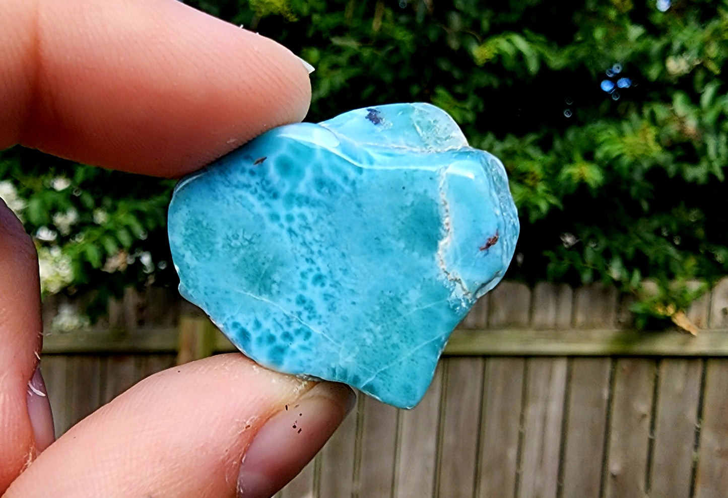 AAA Grade Larimar