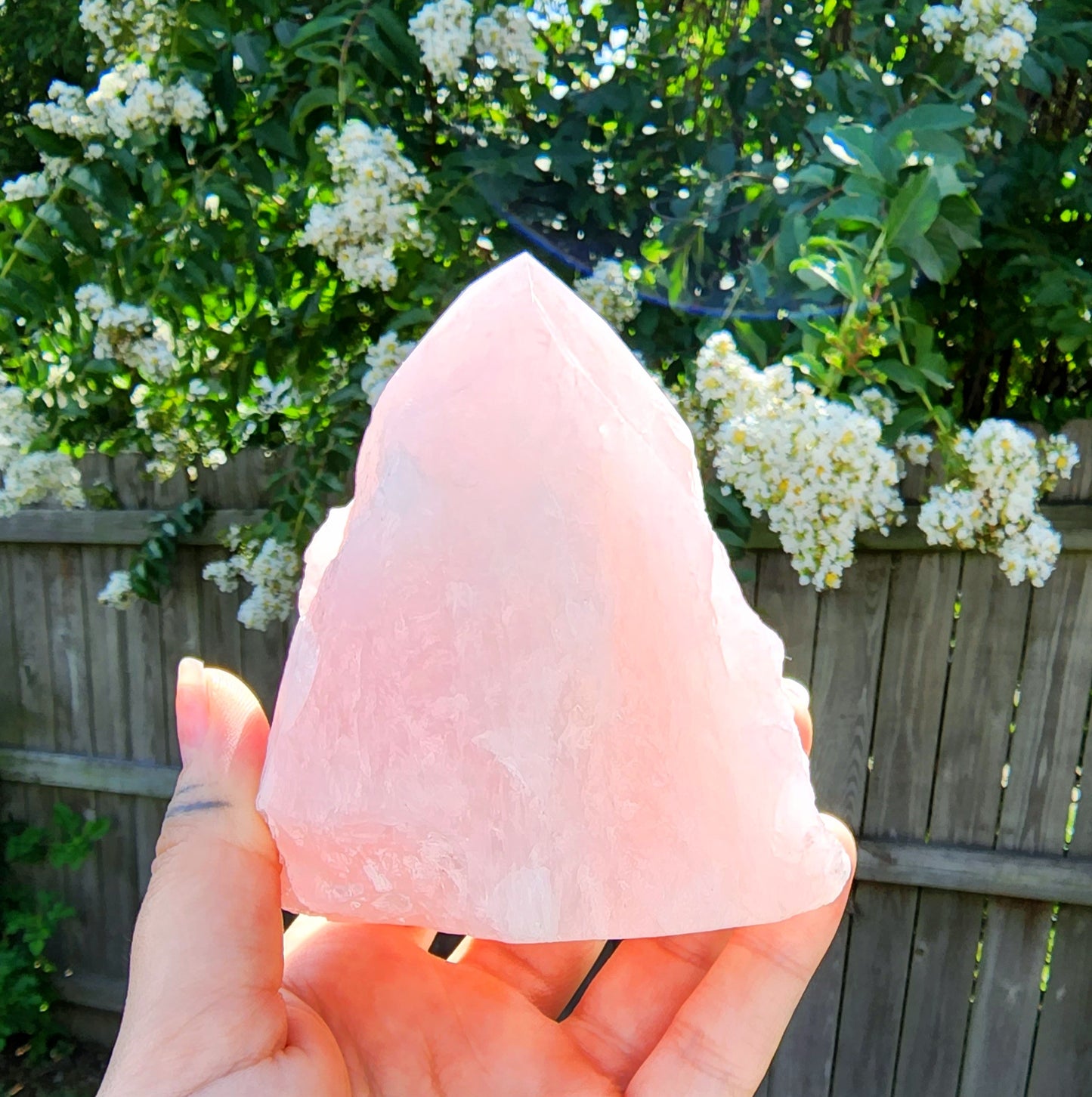 Top Polished Rose Quartz Points