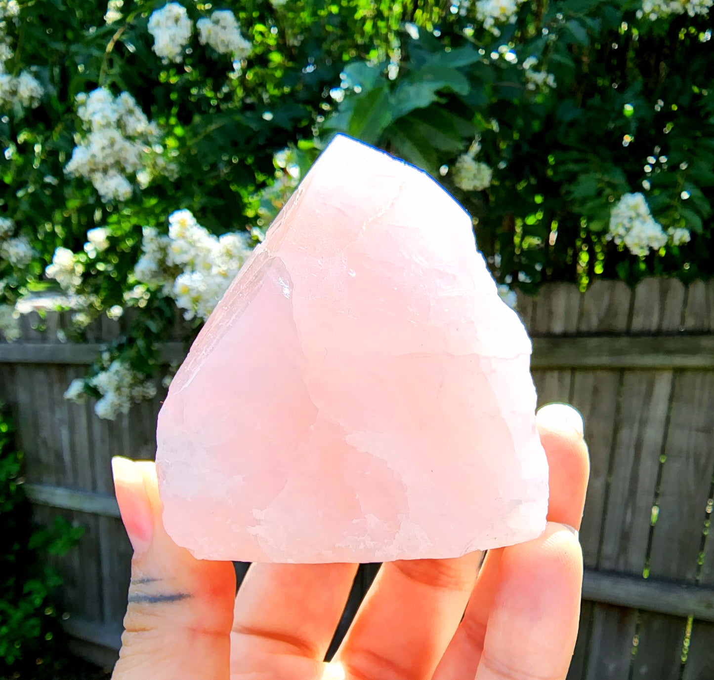 Top Polished Rose Quartz Points