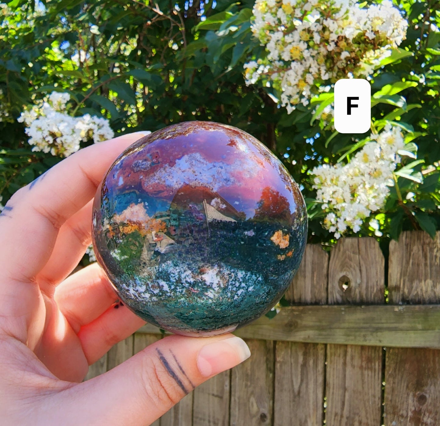 Ocean Jasper Spheres (Large)