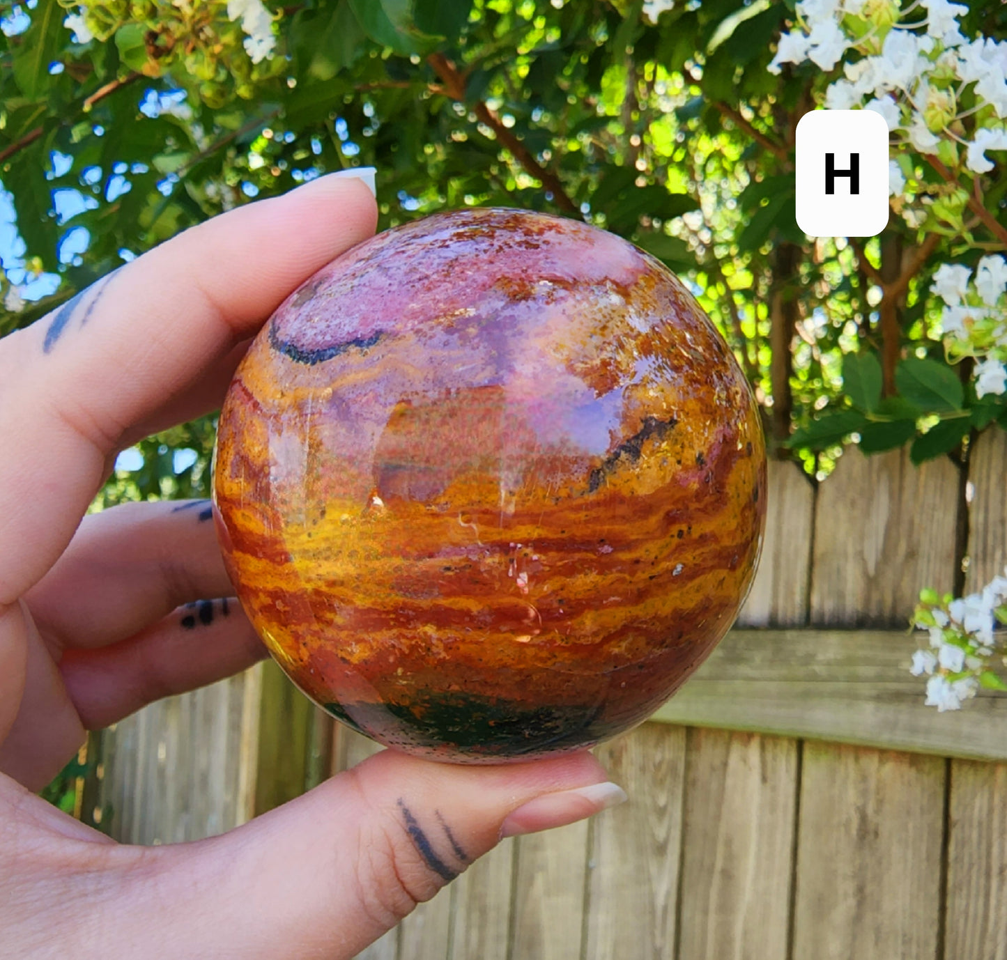 Ocean Jasper Spheres (Large)